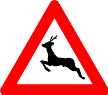 Wildwechsel