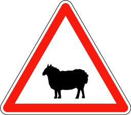 Schafe