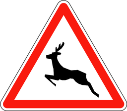 Wildwechsel