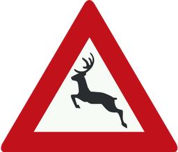 Passage d’animaux sauvages