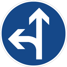 Geradeaus oder links